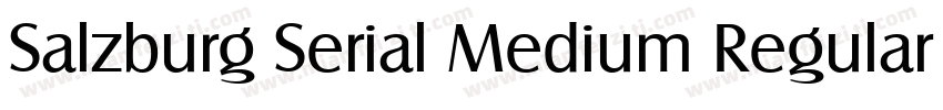 Salzburg Serial Medium Regular字体转换